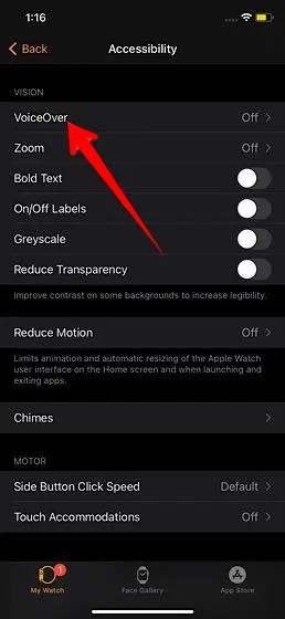 Apple Watch app Accessibility Settings VoiceOver