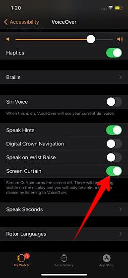 Apple Watch app Accessibility VoiceOver Settings